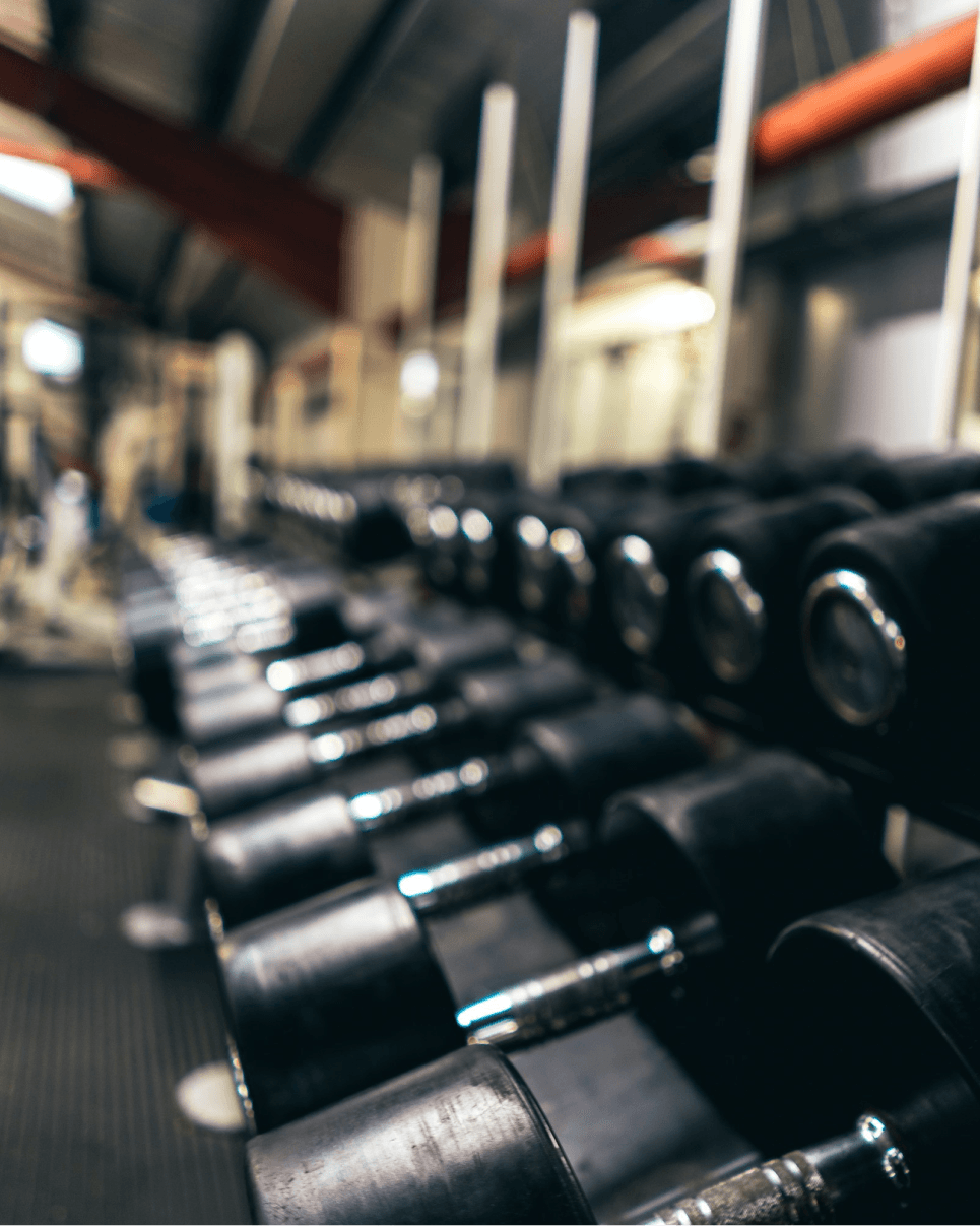 Rows of dumbbells in the fitness center